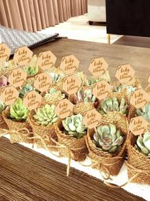 10 buc. Etichete botanice Baby In Bloom Cadouri pentru baby shower, cadouri cu etichetă pentru țeapă botanică hexagonală Marker pentru suculente cu țăruș de grădină, pentru ziua mamei, pentru Crăciun pentru Ziua Recunoștinței. - Culoarea lemnului - Vizualizare 3