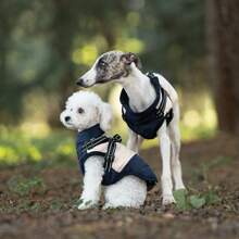 1 pièce Veste en laine réfléchissante en polyester pour chien, manteau coupe-vent réglable à boucle en D double avec fermeture zippée, convient aux chiens de petite à très grande taille - Automne et Hiver