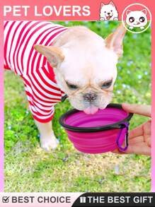 2pcs Collapsible Pet Bowl, Dog Bowl, Cat Bowl, Cat Food Bowl, Dog Food Bowl, Dog Cat Bowl, Pet Food Water Bowl, Dog Water Bowls, Pet Feeding Watering Dish, Dog Water Food Bowl , Travel Dog Bowl, Pet Water And Food Feeding Bowl, Pet Food Feeding Bowl, Travel Dog Cat Bowl, Pet Water Bowls, Dog Travel Bowls, Dog Cat Travel Bowls, Pet Water Food, Portable Silicone Collapsible Dog Water Bowl - Multicolor - View 7