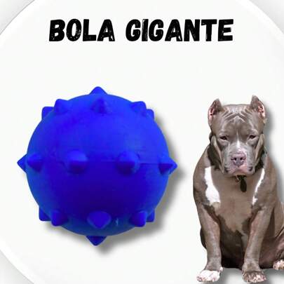 Bola Pet GRANDE Maciça Brinquedo Pet Bola Lisa Cachorro Cães Gatos
