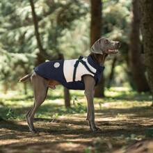 1 pièce Veste en laine réfléchissante en polyester pour chien, manteau coupe-vent réglable à boucle en D double avec fermeture zippée, convient aux chiens de petite à très grande taille - Automne et Hiver