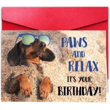 1Pc Paws And Relax Dachshund Birthday Card – Funny Dog-Themed Greeting Card With Relaxing Beach Vibes For Animal Lovers And Special Celebrations