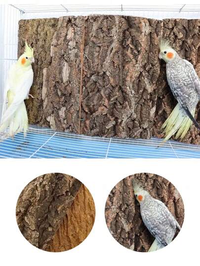 1pc Natural Tree Bark Bird Toy, Soft Cork Bark, Champagne Tree Bark For Reptile Climbing, Aquarium Decor, Green Wall Decoration, Suitable For Bird Cages, Aquarium Landscaping