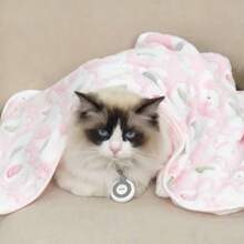 PETSIN 1pc Coral Fleece Elephant Pink Cartoon Pet Blanket, Suitable For Cats/Small-Medium Dogs, Lightweight Throw Blanket For Spring/Summer