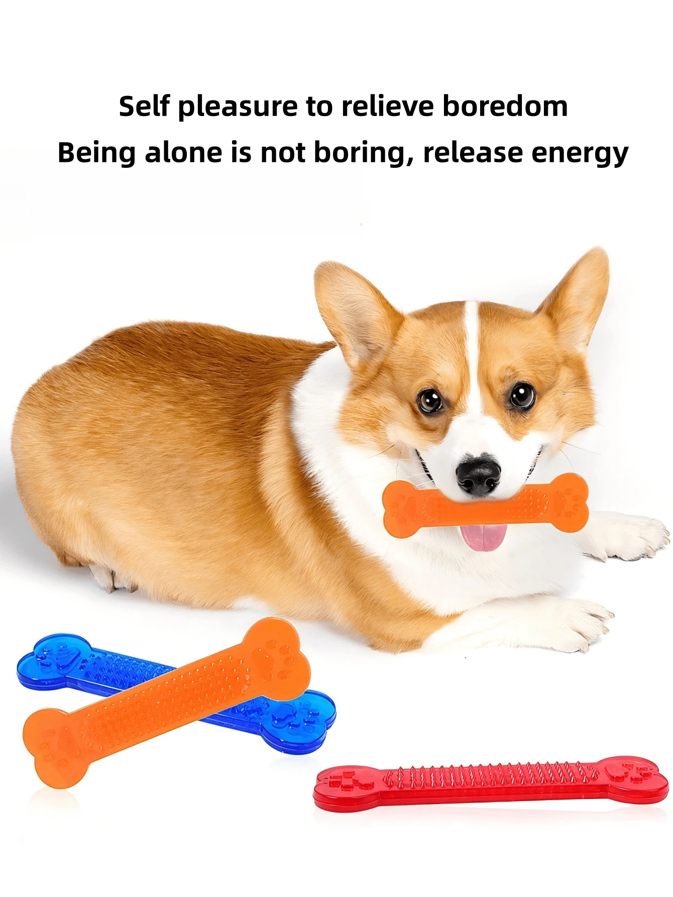 1/3pcs Hot Cat/Dog Lover Gift And Dog/Cat Mom Love Pet Dog Lover And Dog Mom Love Chew Toys Rubber Bone Toy Aggressive Chewers Dog Lover And Dog Mom Love Toothbrush Dog Lover And Dog Mom Lovegy Puppy Dental Care For Dog Lover And Dog Mom Love Cat/Dog Lover Gift And Dog/Cat Mom Love Pet Accessories - Multicolor - View 8