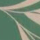 verde cod 25