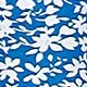 Blue and White
