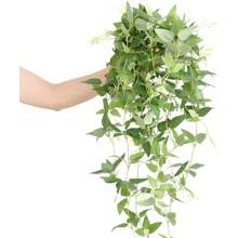 1 Paquete de Soporte de Pared para Corbatas, Relleno de Vid Falsa Verde, Guirnalda Decorativa Artificial de Hiedra Verde, Planta Colgante, Decoración de Ramo, Decoración del Centro del Arco de Boda, Decoración de Escritorio de Banquete, Decoración de Fondo, Boda, Decoración de Boda, Decoración de Habitación, Decoración del Hogar Interior y Exterior