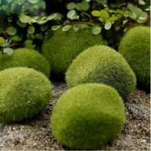 10pcs Lifelike Artificial Moss Stones, Vivid Green Faux Moss Stones For Fairy Garden, Flower Arranging And Crafts - Great Gift For Gardeners And DIY Enthusiasts,Garden Decor,Outdoor Plant,Gardening,Fake Flowers