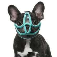 Muselière pour chien, muselières souples en maille pour chiens petits, moyens et grands, chihuahua, caniche, husky, labrador retriever. Garde-bouche de chien respirant pour la morsure, la mastication et la toilettage