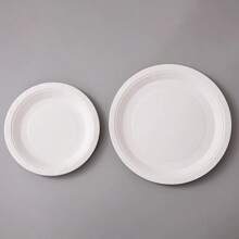 55/40/25/12 Stücke 7inch/9inch auslaufsichere dicke Pappteller | 3-Sekunden-Reinigung | Einweg für Partys | Hohe Kosten-Effektivität & Praktisch | Camping, Picknick, Zuhause Vorrat! Weiße Einweg-Pappteller für DIY Essen, Kuchen, Hochzeit, Geburtstag, Party, Abschluss, Weihnachten, Thanksgiving, Halloween, Ramadan, Ostern - Weiss - Übersicht 9