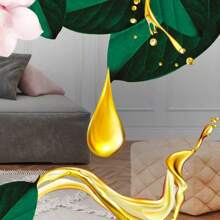 Air Wick Scented Oil Summer Delights Air Freshener Refill - 3.38 Fl Oz/5pk