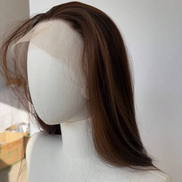 Brown Long Straight 13X4 Inch Large Area Glueless Wigs Lace Front Women Natural Hairline Synthetic Hair Daily Wear