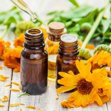 Air Wick Scented Oil Summer Delights Air Freshener Refill - 3.38 Fl Oz/5pk