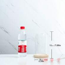 1个玻璃罩，保鲜花，娃娃展示罩，带软木底座的玻璃展示罩，梅森罐罩，花瓶展示盒，家居圣诞派对礼物装饰，生日周年纪念日，感恩节，圣诞节，母亲节，家居装饰