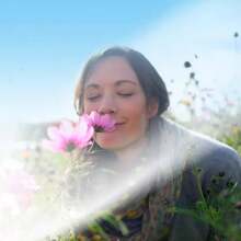 Air Wick Scented Oil Summer Delights Air Freshener Refill - 3.38 Fl Oz/5pk