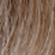 Brown Ombre