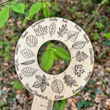 Wooden Leaf Identification Ruler, Nature Exploration Tool With Leaf Shape Encyclopedia, Crafts For Plant Observation, Ideal Gift - Khaki - View 5