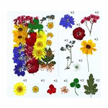 35Pcs 1 Set Dried Pressed Leaves Dried Flowers For Resin Real Assorted Dried Greenery For Pressed Leaf Art Craft DIY Handmade Bookmarks Embellishment Decorations