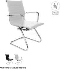 Silla Oficina Escritorio Ergonomica Minimalista Moderna Base Metal Trineo Soporte Lumbar Comoda Duradera (Blanco)