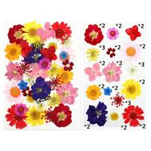 35Pcs 1 Set Dried Pressed Leaves Dried Flowers For Resin Real Assorted Dried Greenery For Pressed Leaf Art Craft DIY Handmade Bookmarks Embellishment Decorations