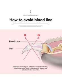 5毫米不锈钢宠物指甲钳，防滑手柄，精准修剪猫狗指甲，弧形刀片+安全护罩防止过度修剪，简约银色设计，日常宠物护理必备 - 彩色 - 查看 8
