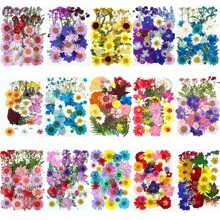 35Pcs 1 Set Dried Pressed Leaves Dried Flowers For Resin Real Assorted Dried Greenery For Pressed Leaf Art Craft DIY Handmade Bookmarks Embellishment Decorations