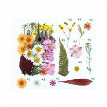 35Pcs 1 Set Dried Pressed Leaves Dried Flowers For Resin Real Assorted Dried Greenery For Pressed Leaf Art Craft DIY Handmade Bookmarks Embellishment Decorations