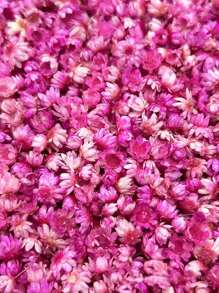 140pcs/Pack Miniature Dried Flower In Various Colors, Diy Jewelry, Earring, Crystal, Glass Sphere And Resin Filler, Valentine Day, Gift Gifts Birthday Graduation