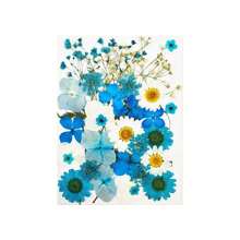 35Pcs 1 Set Dried Pressed Leaves Dried Flowers For Resin Real Assorted Dried Greenery For Pressed Leaf Art Craft DIY Handmade Bookmarks Embellishment Decorations