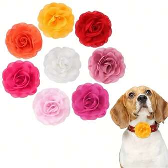 8 st Pet Collar Blomsterhänge, lämplig för hund katthalsband, Pet Beauty Accessoarer