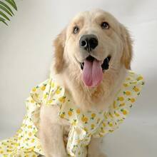 1 pezzo Vestito a molla/estate/autunno con stampa di ananas per cani di taglia media e grande, vestito volante carino per Golden Retriever, Labrador, Samoyed