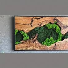 大型苔藓和木质帆布墙面艺术 - 质朴的绿色装饰海报，天然木纹与充满活力的苔藓景观，无框现代家居装饰，适用于客厅、卧室或厨房，客厅装饰 - 彩色 - 查看 4
