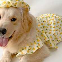 1 pezzo Vestito a molla/estate/autunno con stampa di ananas per cani di taglia media e grande, vestito volante carino per Golden Retriever, Labrador, Samoyed