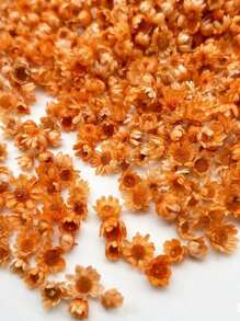 140pcs/Pack Miniature Dried Flower In Various Colors, Diy Jewelry, Earring, Crystal, Glass Sphere And Resin Filler, Valentine Day, Gift Gifts Birthday Graduation