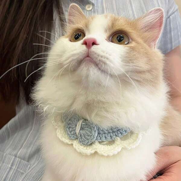 1 PIEZA Collar lindo para gato - Estilo princesa con moño tejido como bufanda para regalos de Navidad para gatos
