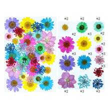 35Pcs 1 Set Dried Pressed Leaves Dried Flowers For Resin Real Assorted Dried Greenery For Pressed Leaf Art Craft DIY Handmade Bookmarks Embellishment Decorations