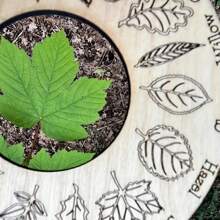 Wooden Leaf Identification Ruler, Nature Exploration Tool With Leaf Shape Encyclopedia, Crafts For Plant Observation, Ideal Gift - Khaki - View 6