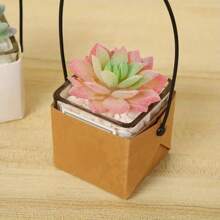 5-20pcs 6x5.5x5.3cm Kraft Paper Succulent Potted Plant Box Indoor Outdoor Universal Foldable Hanging Potted Plant Box With Handle Practical Gardening Tools - Multicolor - View 5