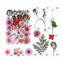 35Pcs 1 Set Dried Pressed Leaves Dried Flowers For Resin Real Assorted Dried Greenery For Pressed Leaf Art Craft DIY Handmade Bookmarks Embellishment Decorations