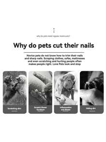 5毫米不锈钢宠物指甲钳，防滑手柄，精准修剪猫狗指甲，弧形刀片+安全护罩防止过度修剪，简约银色设计，日常宠物护理必备 - 彩色 - 查看 7