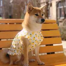 1 pezzo Vestito a molla/estate/autunno con stampa di ananas per cani di taglia media e grande, vestito volante carino per Golden Retriever, Labrador, Samoyed