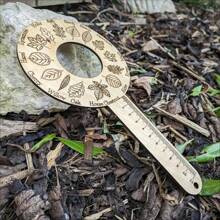 Wooden Leaf Identification Ruler, Nature Exploration Tool With Leaf Shape Encyclopedia, Crafts For Plant Observation, Ideal Gift - Khaki - View 2