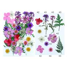 35Pcs 1 Set Dried Pressed Leaves Dried Flowers For Resin Real Assorted Dried Greenery For Pressed Leaf Art Craft DIY Handmade Bookmarks Embellishment Decorations