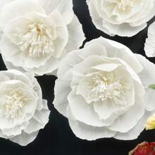 5pcs 12 Inch (30cm) + 10 Inch (25cm) White Paper Flowers, Artificial 3D Wall Decor For Wedding, Bridal Shower, Birthday, Photo Backdrop, Arch Decoration
