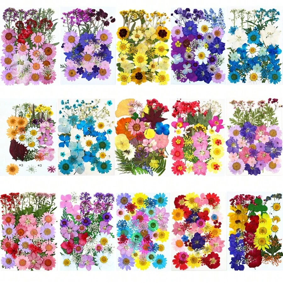 35Pcs 1 Set Dried Pressed Leaves Dried Flowers For Resin Real Assorted Dried Greenery For Pressed Leaf Art Craft DIY Handmade Bookmarks Embellishment Decorations