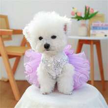 Dog Dresses For Small Dogs Girl Summer Princess Puppy Clothes Outfit Apparel Female Cute Cat Skirt Sequins Pet Dress
