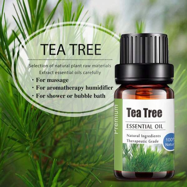 1 botella de Aceite Esencial de Árbol de Té KANHO Aromaterapia 10ml 0.33fl.Oz, selección de ingredientes naturales de materias primas vegetales naturales, agrega fragancia para difusores, humidificadores, regalo para amigos KH-007