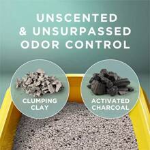 Purina Tidy Cats Free & Clean Unscented Clumping Litter |   10-Day Odor Control |   Strong Clumps For Multi-Cat Homes |   Low-Dust, Natural Clay Formula