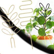 1 件植物棚架、植物网格棚架、藤蔓攀爬支架、装饰框架、花园盆栽植物装饰、家居装饰礼物 - 彩色 - 查看 6